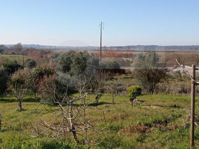 Terrenos Coimbra Coimbra DS102046410