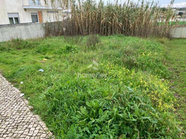 Terrenos Coimbra Figueira da Foz 3080 DS99934028