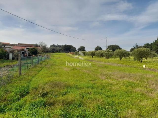 Terrenos Coimbra Soure 3130 DLS96841605