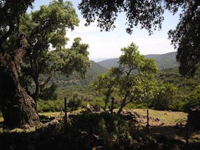 Terrenos Colmenar Andalucia 103963922