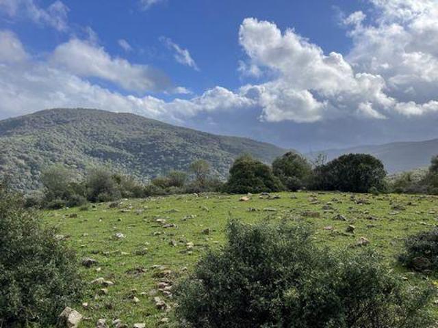 Terrenos Colmenar Andalucia 97113074