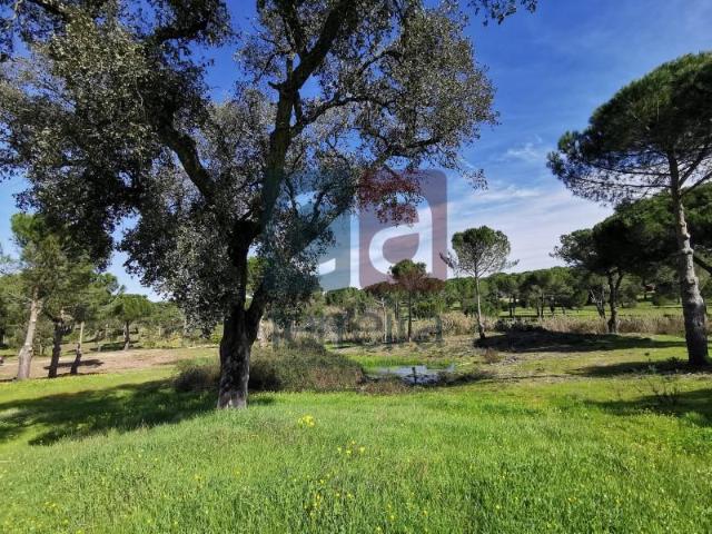 Terrenos Coruche Coruche DS94254533