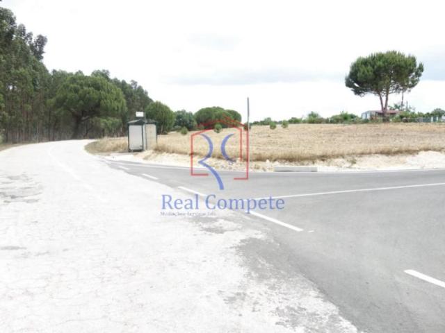 Terrenos Coruche Coruche DS97123498