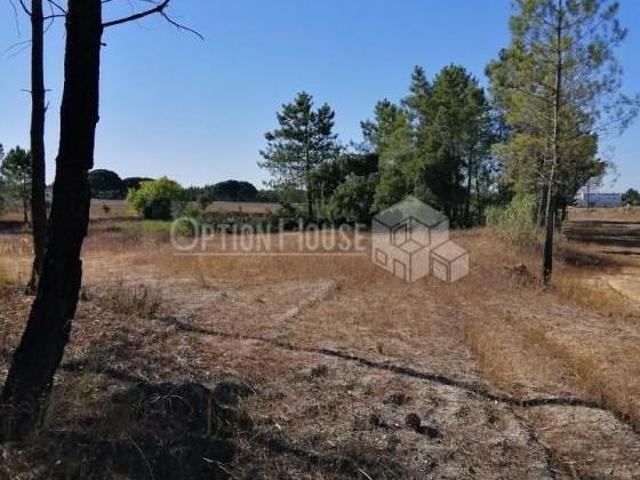 Terrenos Coruche Coruche DS97123816