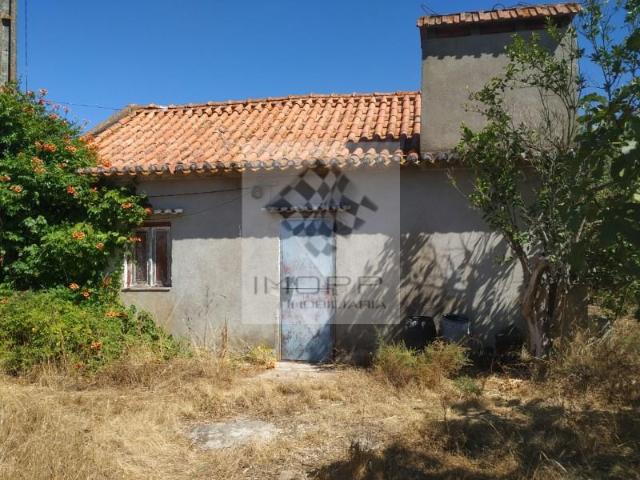 Terrenos Coruche Coruche DS102046060