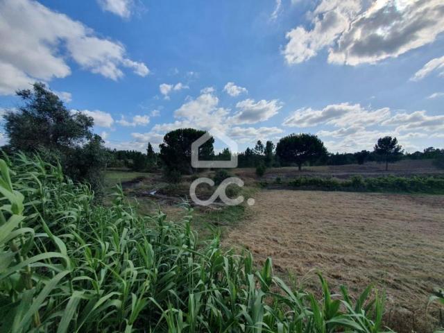 Terrenos Coruche Santarém DS94414037