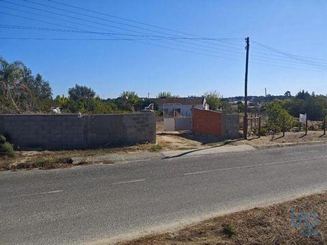 Terrenos Coruche Santarem DS95129673