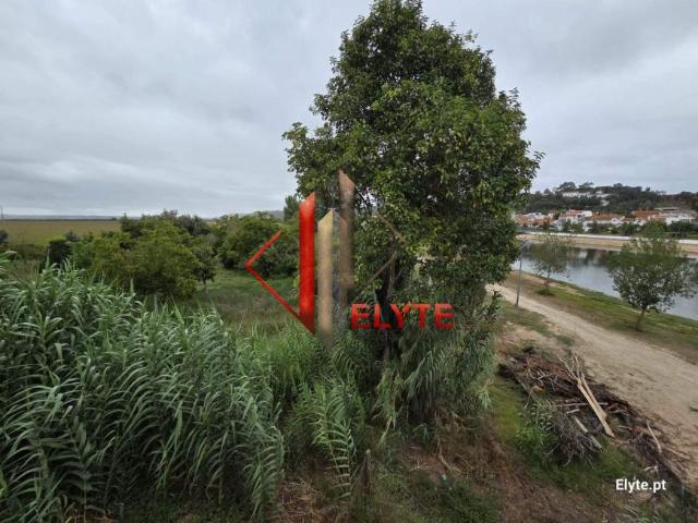 Terrenos Coruche Santarém 2100 051 DS95225148