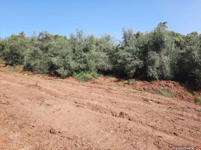 Terrenos Córdoba Andalusia LS92943758