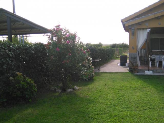 Terrenos Coria Cáceres 78112163