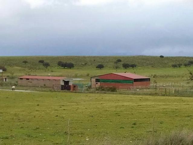 Terrenos Coria Cáceres 78112173