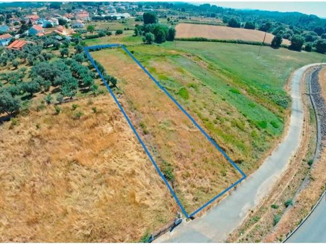 Terrenos Covilhã Covilhã DS93833969
