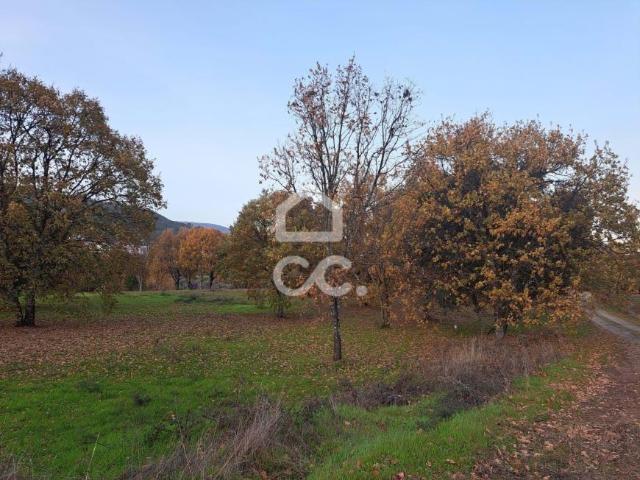 Terrenos Covilhã Castelo Branco DLS97054359
