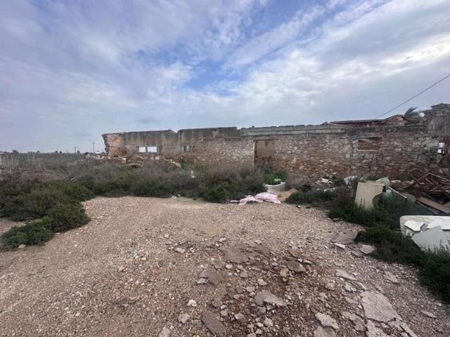 Terrenos Crevillent Alicante 99507660