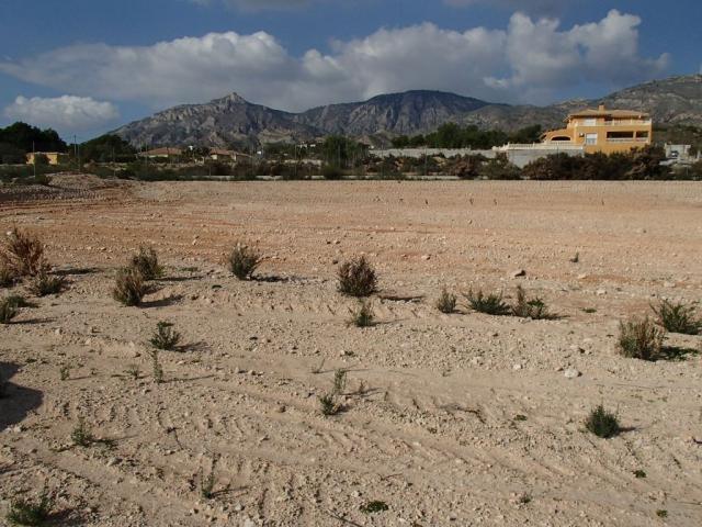 Terrenos Crevillente Costa Blanca LS83122244