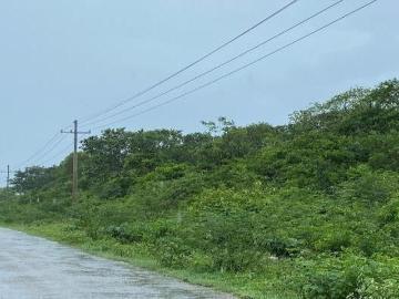 Terrenos de 6 HA en Venta en Hacienda Tamchen
