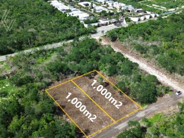 Terrenos de 1,000m2 con servicios en Komchen