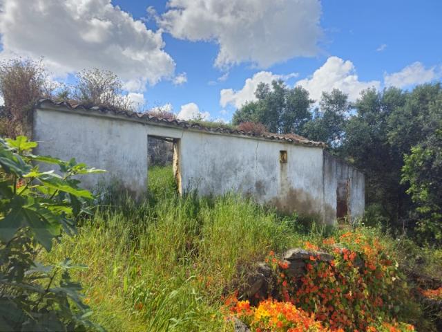 TERRENOS DE 3294,50 M² COM RUÍNAS DE 86,00 M² PARA REABILITAÇÃO COM VISTAS PARA O CAMPO E PRÓXIMO DE SANTA CATARINA