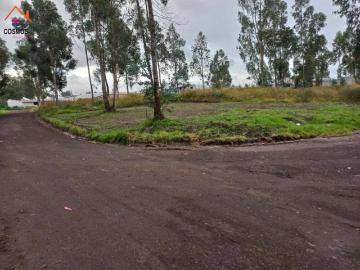 Terrenos de venta en Tabacundo, 400 m2 Terreno en Venta en Pedro Moncayo