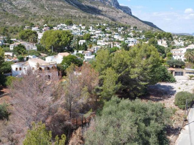 Terrenos Denia Alicante 101135286