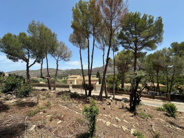 Terrenos Denia Costa Blanca 99449091