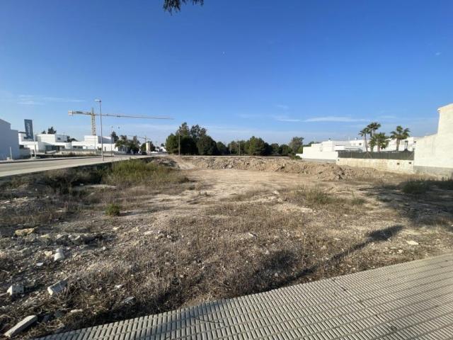 Terrenos Dolores Alicante 102469088