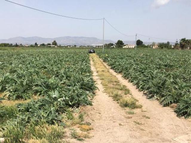 Terrenos Dolores Costa Blanca 83122395