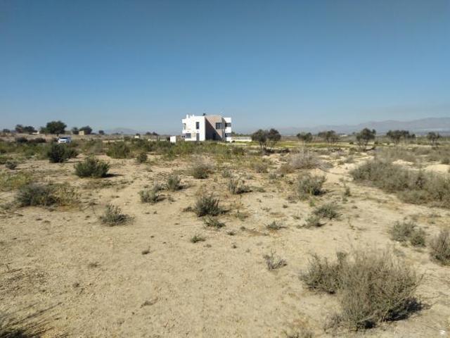 Terrenos Elche Costa Blanca 83122389
