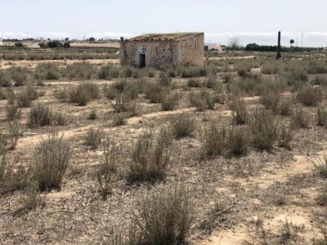 Terrenos Elche Costa Blanca 83122397