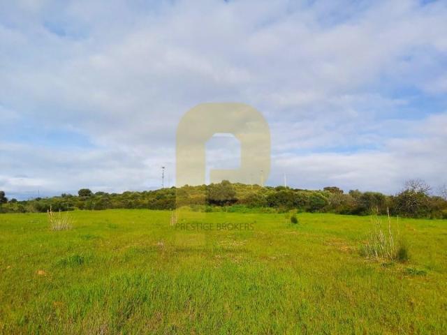 Terrenos Elvas Elvas DLS88755743