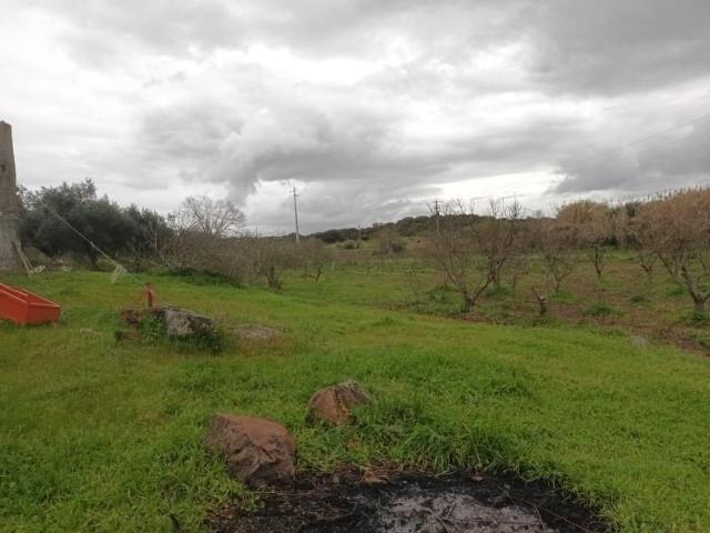Terrenos Elvas Elvas DS98142634