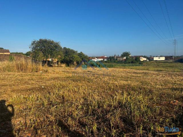 Terrenos em Roxico, Estarreja | 26084058768