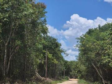 TERRENOS EN TULUM