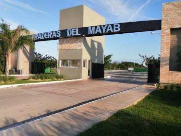 Terrenos en Venta Ubicados en Praderas del Mayab