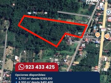 Terrenos En Venta – Zona Turística De Naranjillo, Tingo María Huanuco