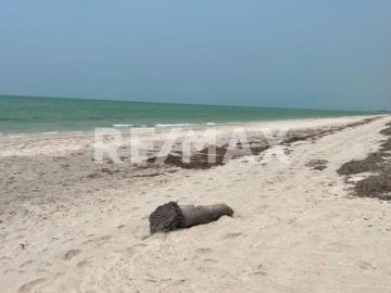 Terrenos en venta a primera línea de mar en Sabancuy Campeche 4