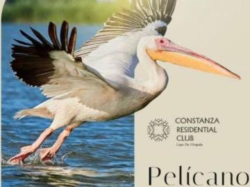 Terrenos en Venta, Constanza Residencial, Chapala