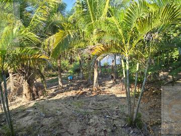 Terrenos en venta en Tampico Alto