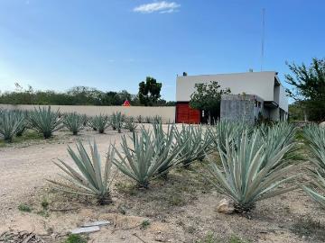 Terreno en Tixkuncheil, Baca, Yucatán