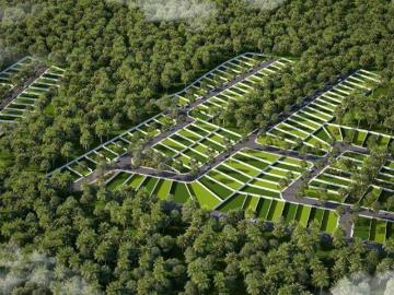 TERRENOS EN VENTA EN TIXKUNCHEIL BACA