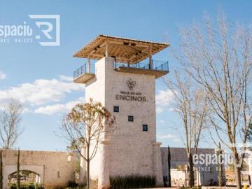 TERRENOS EN VENTA EN VALLE DE LOS ENCINOS