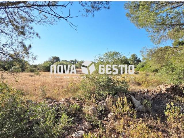 Terrenos en venta en Algaida