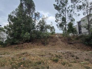 Terrenos en Venta en Bosque del Romeral | Junto a Rancho Contento | Cerca del Instituto de Ciencias
