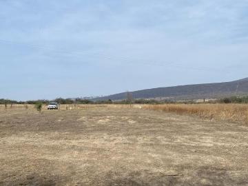 Terrenos en Venta en Camino al Milagro Huimilpan, Qro. ?Inversi?n Ideal!