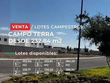 Terrenos en venta en Campo Terra, Torreón, Coah
