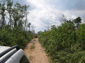 TERRENOS EN VENTA EN CANCUN EN LEONA VICARIO CARRETERA CANCUN MÉRIDA