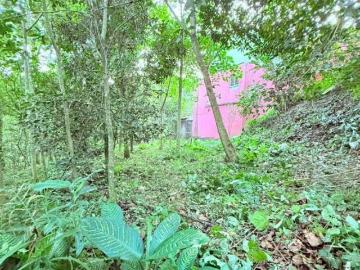 TERRENOS EN VENTA EN COL. CENTRO EN XICOTEPEC