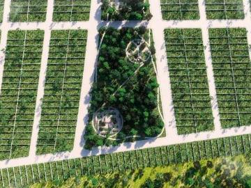 Terrenos en venta en Dzilam González, Yucatan