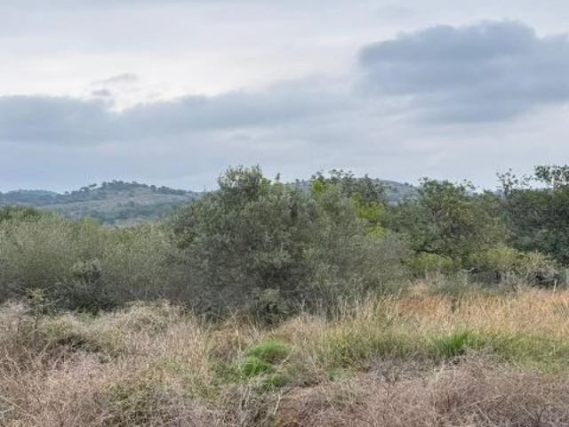 Terrenos en venta en Estivella, tierras cálidas con muchas posibilidades