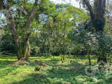 Terrenos en Venta en Higueras del Guayabal